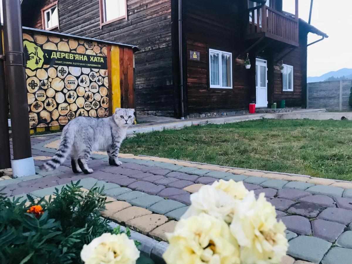 Садиба Дерев*Яна Хата Verchovyna Exteriör bild